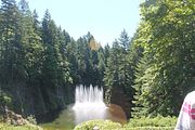 42 - Butchard Gardens  - IMG_1627